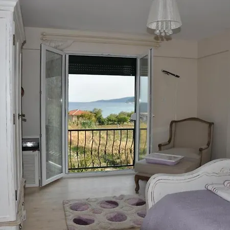 Palmiye * Karaburun (Izmir)