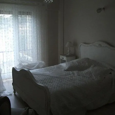 Palmiye 게스트하우스 *