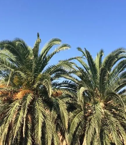 Gasthuis Palmiye Karaburun (Izmir)