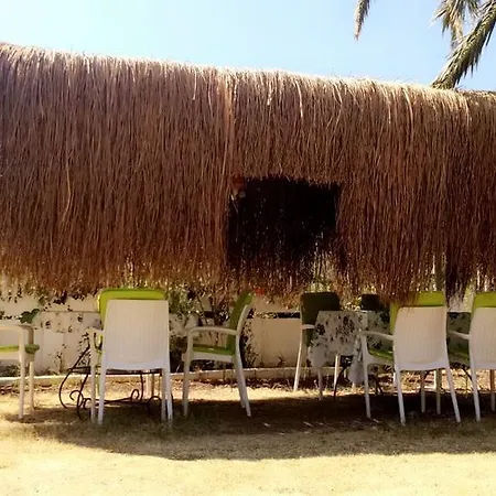 Casa de hóspedes Palmiye